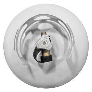 20LBS EMPTY PROPANE TANK | 378-415 - Image 