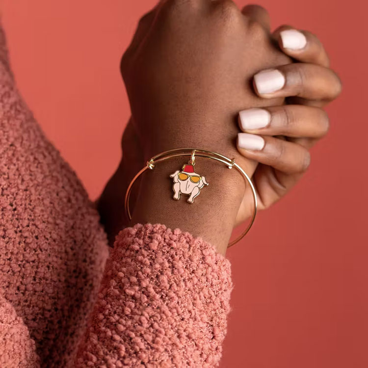 ALEX AND ANI FRIENDS THANKSGIVING TURKEY CHARM BANGLE AA83 HSDS Online