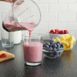2 SPEED BLENDER