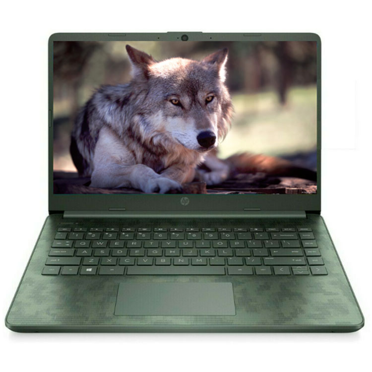 HP 14.1
