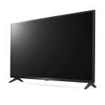 LG 65" TV