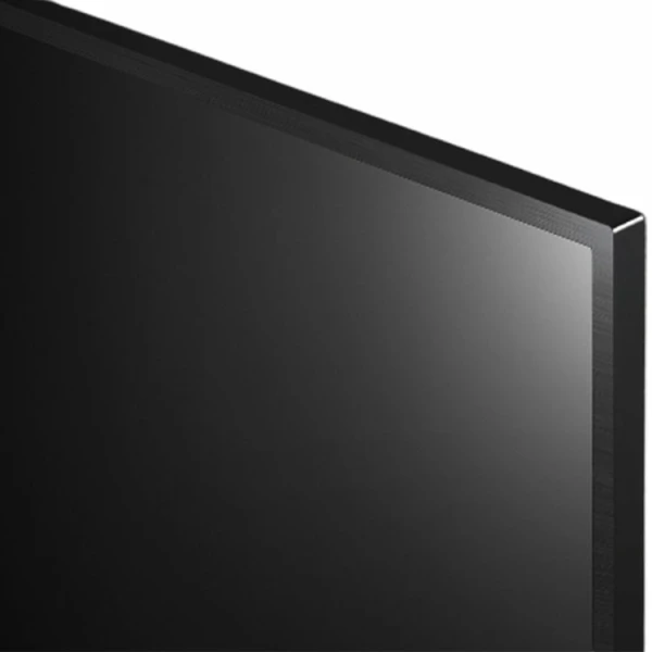 LG 65" TV