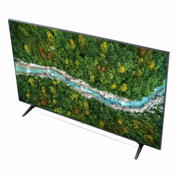 LG 55" TV