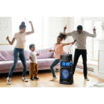 SONY HIGH POWER AUDIO SYSTEM