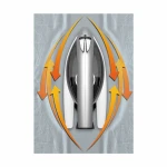 PANASONIC QUICK MULTI-DIRECTIONAL STEAM/ DRY  IRON | NI-W810CS - Image 