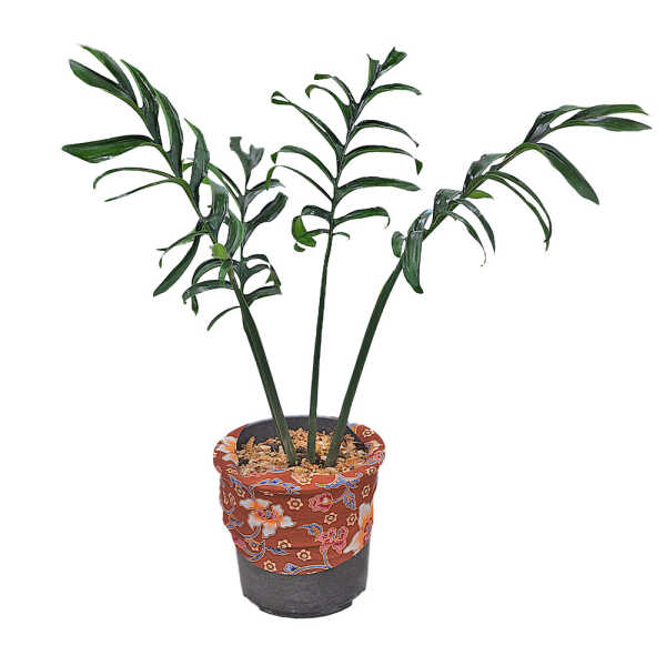 MONST-L MONSTERA PLANT LARGE | MONST-L - Image 1