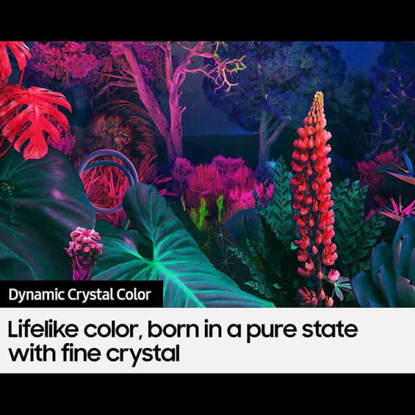 SAMSUNG 55" CRYSTAL 4K UHD BU8000 SMART TV (2022) | UN55BU8000PXPA - Image 