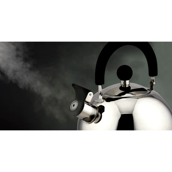 BENE CASA STAINLESS STEEL 2.5QT STOVE TOP TEA KETTLE | BC-84955 - Image 
