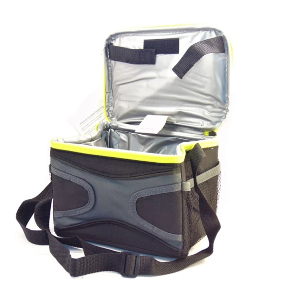 PINCACLE 6 CANS COLLAPSIBLE COOLER BAG | TPX-5501 - Image 