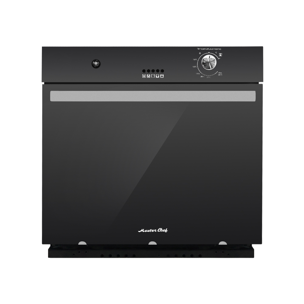 BUILT IN GAS OVEN