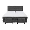ELECTRIC KING SIZE BED