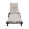 chaise lounge with cushion