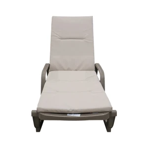 chaise lounge with cushion