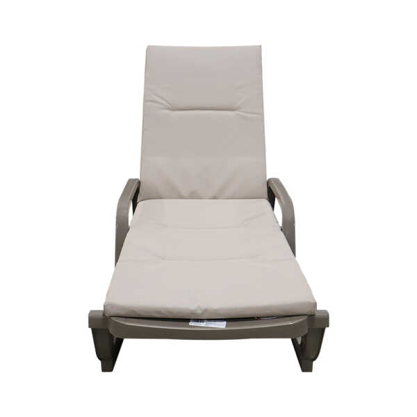 chaise lounge with cushion
