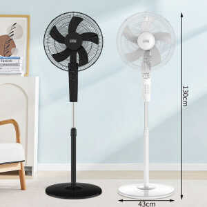 WINNING STAR ST-2141 STAND FAN 16" | VARIETY