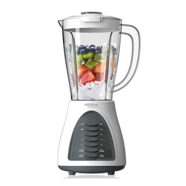 10 SPEED BLENDER
