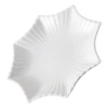 OCTAGONAL PLATE