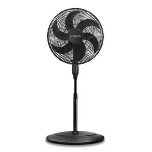 STAND FAN