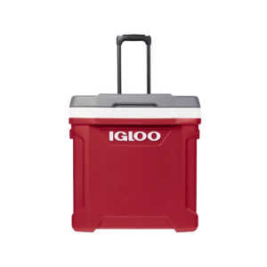 IGLOO