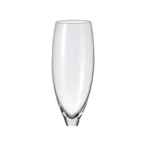 CLASSIC CHAMPAGNE GLASS | EL3796 - Image 