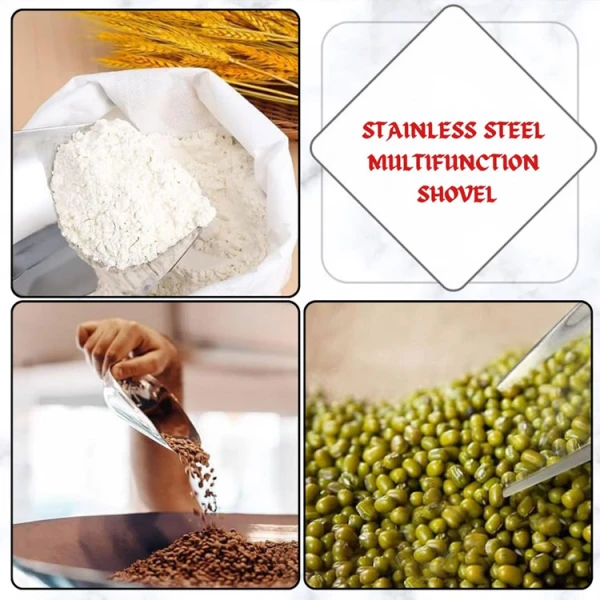 EMERALD STAINLESS STEEL SCOOP | VARIETY - Image 