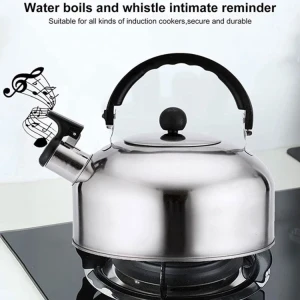 LOTUS WATER KETTLE STAINLESS STEEL | AS-504L-SS - Image 