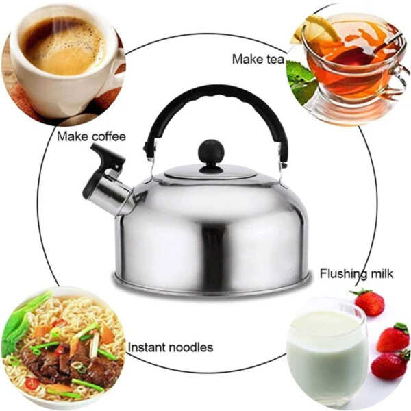LOTUS 3L WATER KETTLE STAINLESS STEEL | AS-503L-SS - Image 
