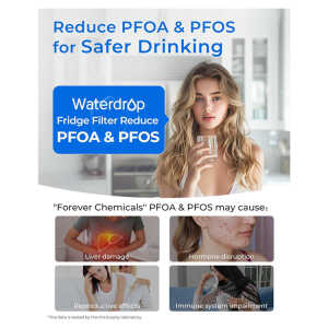 WATERDROP REPLACEMENT FILTER AQUA-PURE PLUS | OO-DA29-00003G - Image 