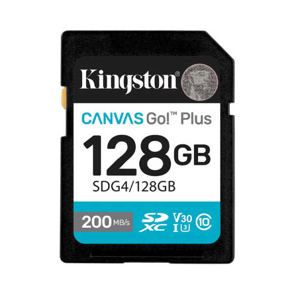 Kingston canvas
