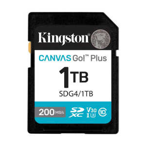 CANVAS GO