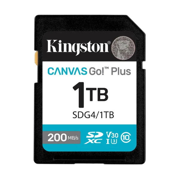 SDG41TB CANVAS GO