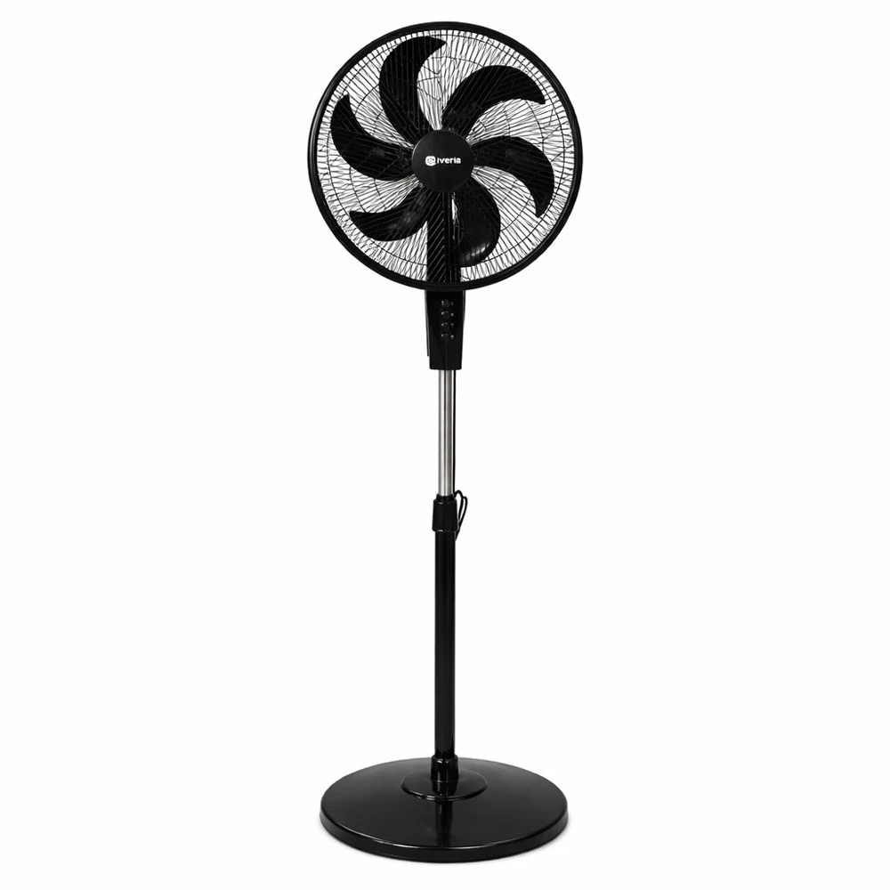 Stand Fan 6 Blade