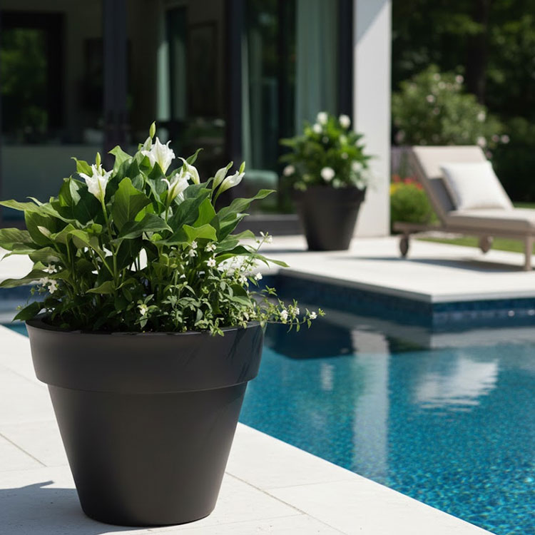 Black and white round plant pots by pool