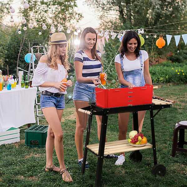 ALPHINE OUTDOOR BBQ GRILL CHARCOAL | ALP-BBQ8343 - Image 
