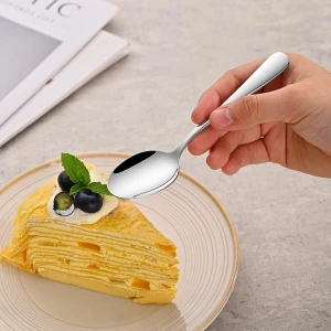 EPICURE 6PCS TEA SPOON SET | EP-6-TS - Image 