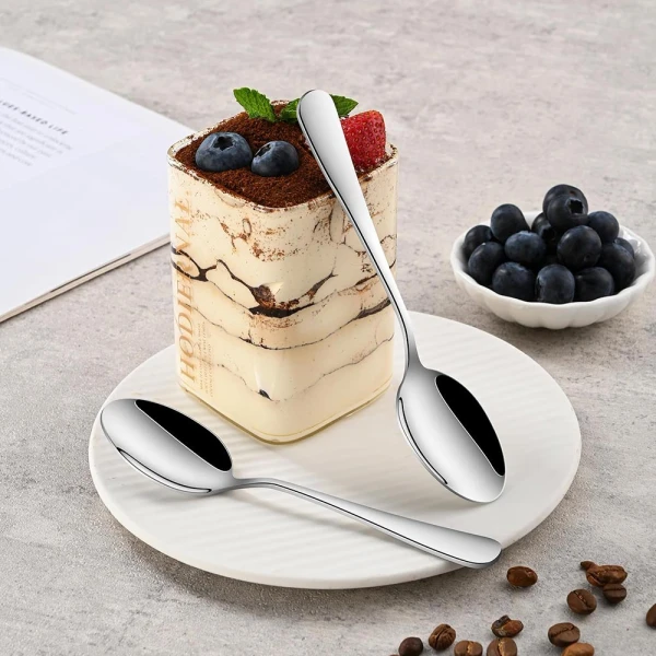 EPICURE 6PCS TEA SPOON SET | EP-6-TS - Image 