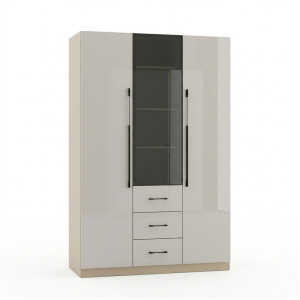 TWO & ONE DOOR 120X45X200CM TRANSPARENT WARDROBE | HS435142