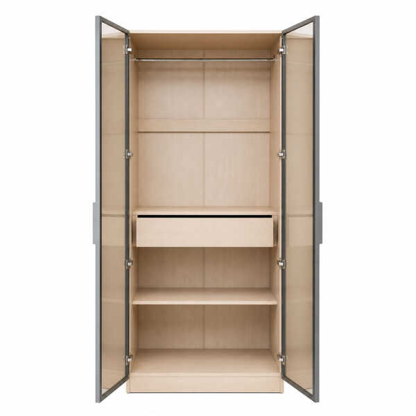 2 DOOR WARDROBE WITH TRANSPARENT DOOR 80X45X200CM | HS435143 - Image 