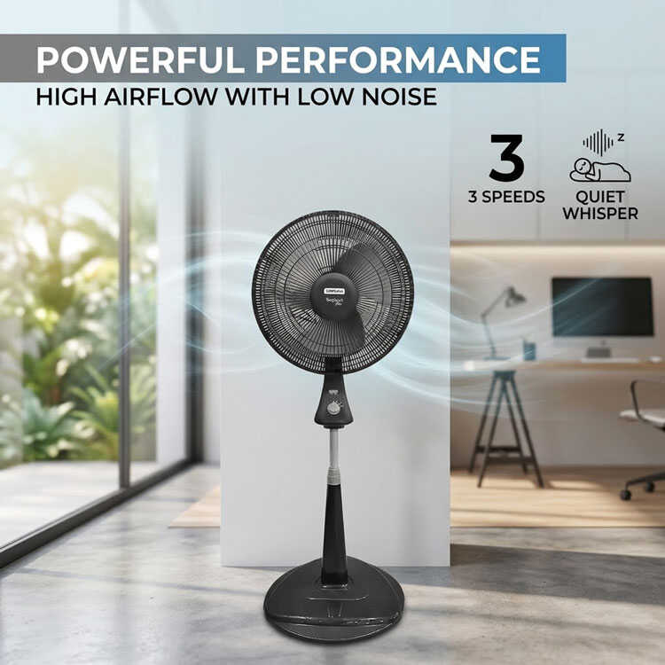 Fan with strong airflow and low noise
