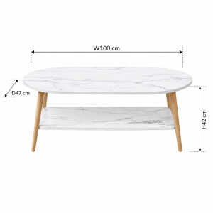 SALON CENTER TABLE 100x47x42CM | CJ003111 - Image 