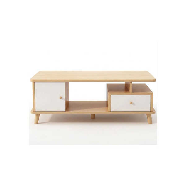 MODERN CENTER TABLE 120x60x41 CM | CJ008217 - Image 1