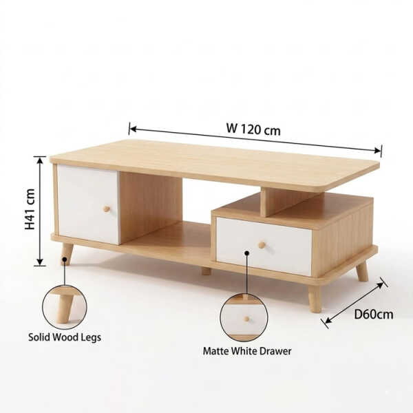 MODERN CENTER TABLE 120x60x41 CM | CJ008217 - Image 