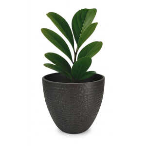 ROUND PLASTIC PLANT POT DIA37XH34CM ASSORTED COLORS | NS438160 - Image 
