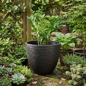 ROUND PLASTIC PLANT POT DIA37XH34CM ASSORTED COLORS | NS438160 - Image 