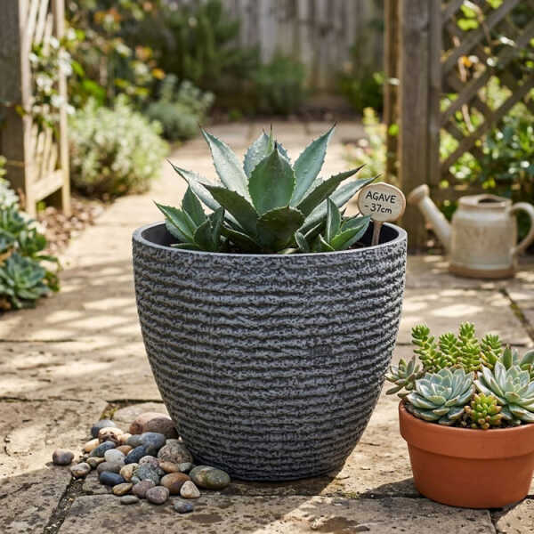 ROUND PLASTIC PLANT POT DIA37XH34CM ASSORTED COLORS | NS438160 - Image 