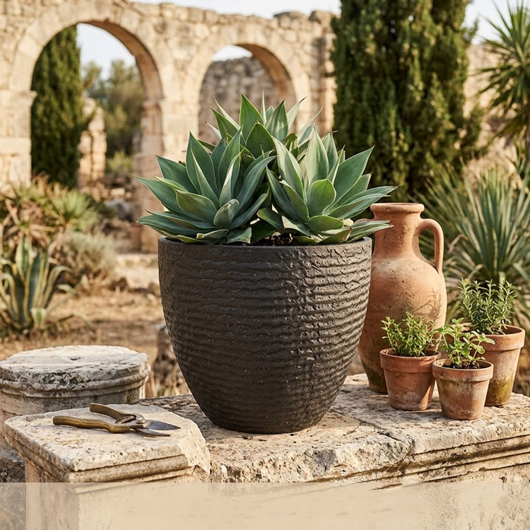 Large black textured planter holding agaves, Roman ruins courtyard setting.