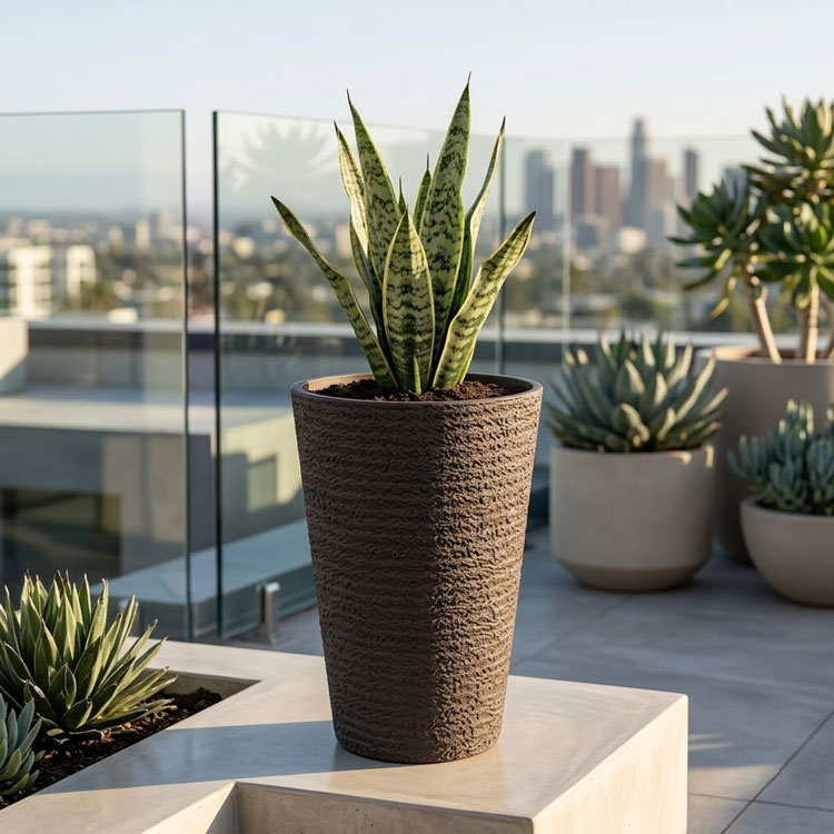 Brown textured planter with snake plant on rooftop terrace
