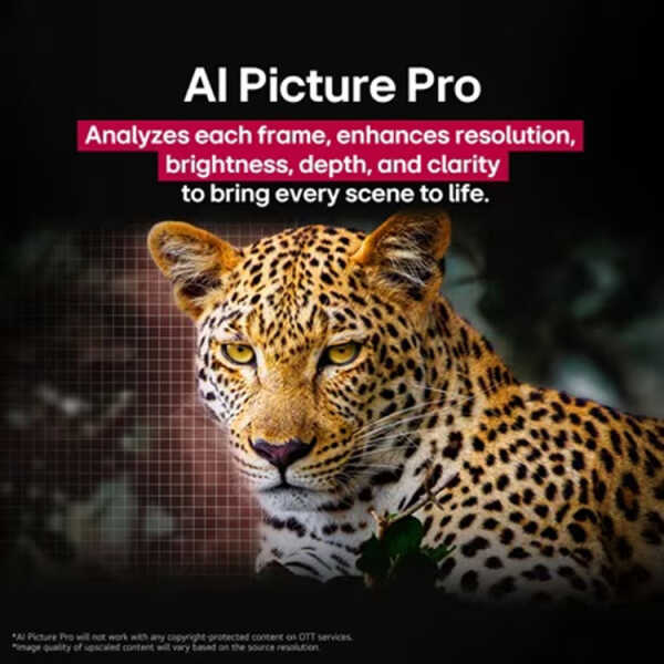 LG 77" CLASS OLED AI C5 4K SMART TV (2025) | OLED77C5PUA - Image 