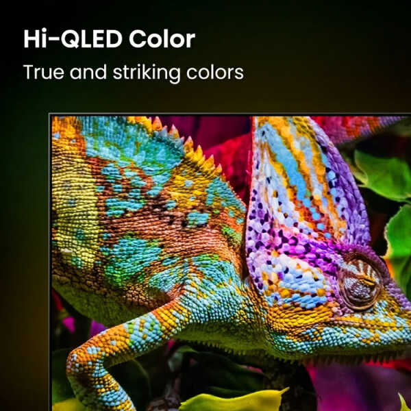 HISENSE 50" QLED 4K UHD SMART TV (2024) | 50QD5SV - Image 