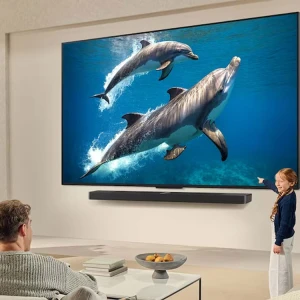 LG 65" QNED 4K HDTV WITH AI (2025) SMART TV | 65QNED73ASA.BW - Image 